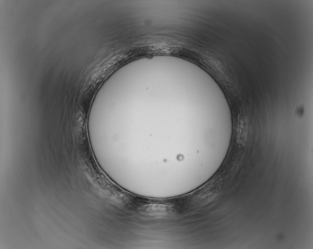 X0000116110314200912071328