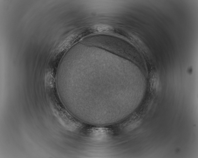 X0000116110316200912071328