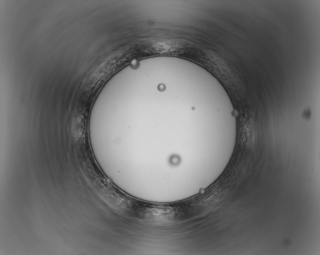 X0000116110317200912071328