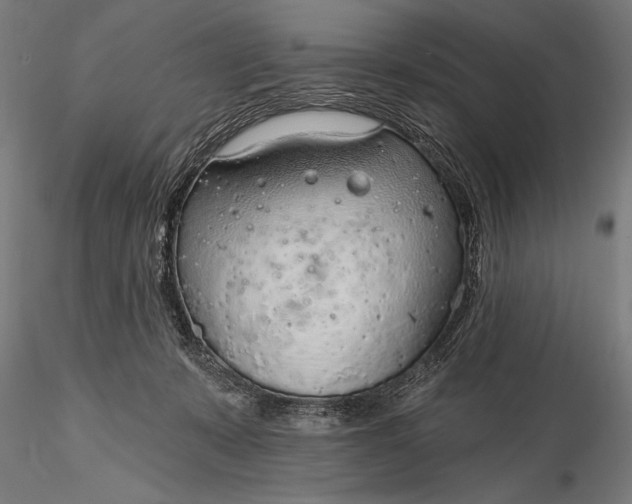 X0000116110319200912071328