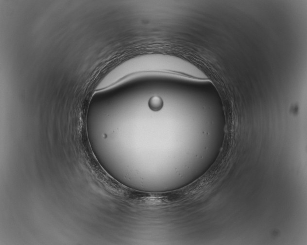 X0000116110320200912071328