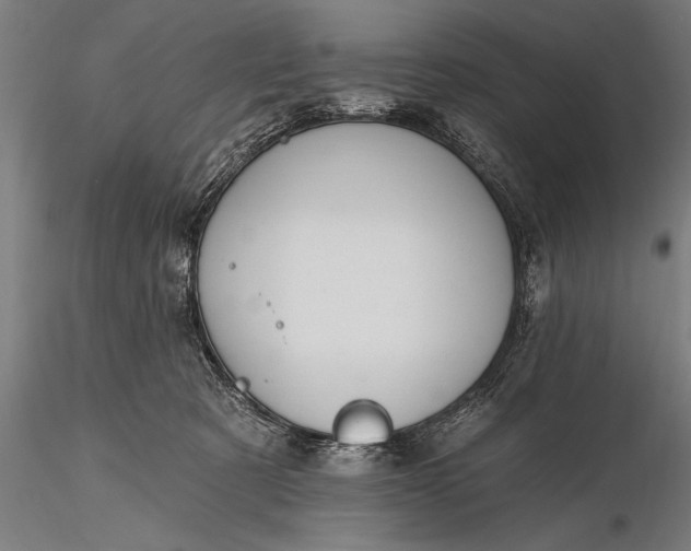 X0000116110321200912071328