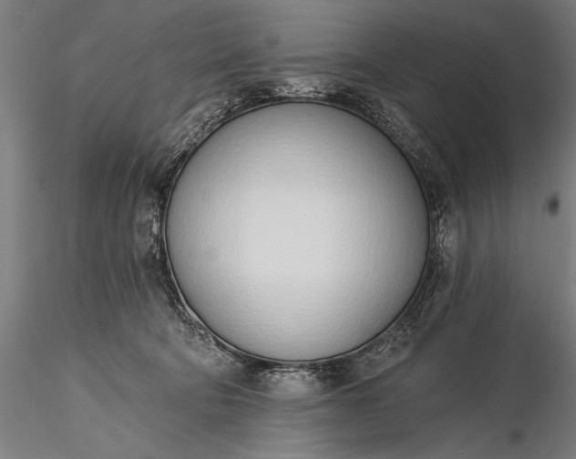 X0000116110322200912071328