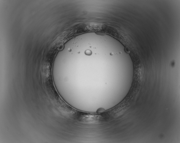 X0000116110323200912071328