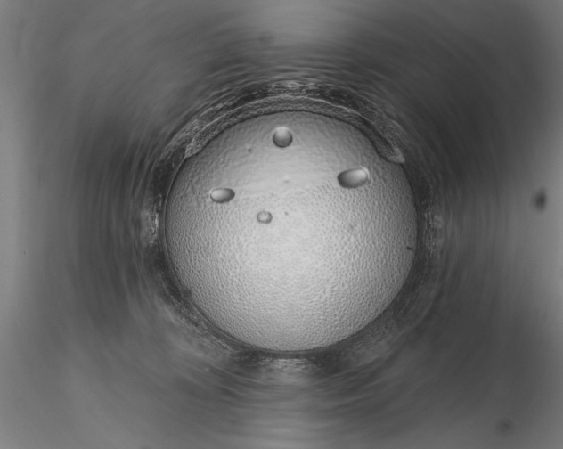 X0000116110324200912071328