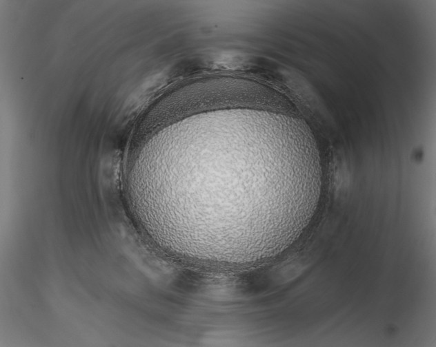 X0000116110328200912071328