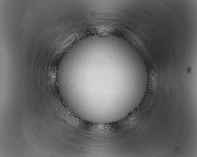 X0000116110329200912071328