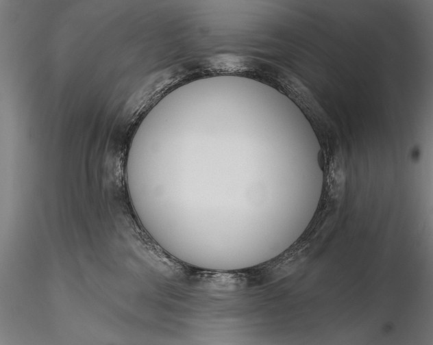 X0000116110330200912071328