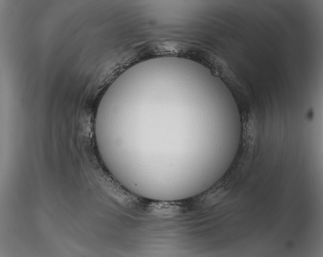 X0000116110331200912071328