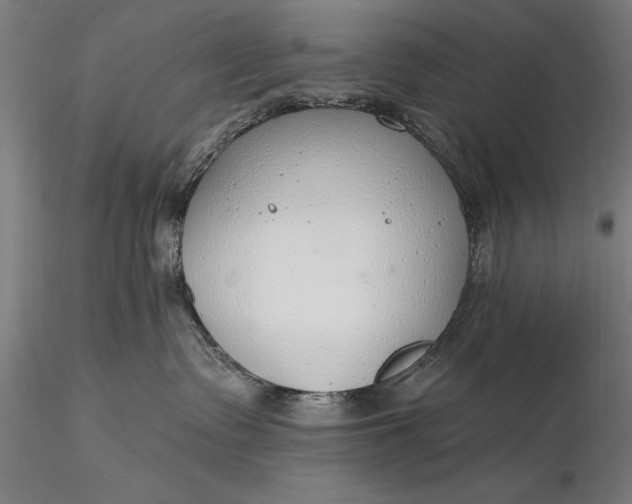 X0000116110335200912071328