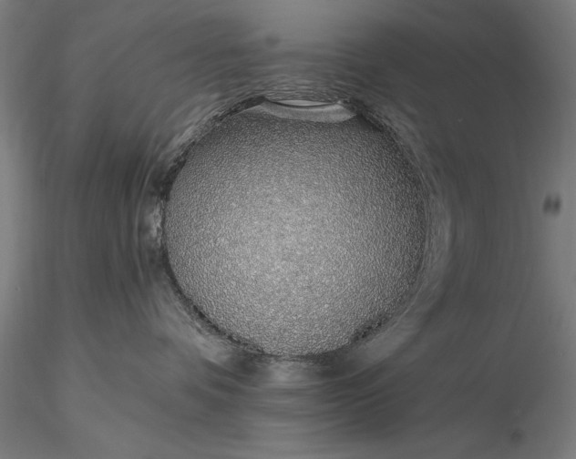 X0000116110336200912071328