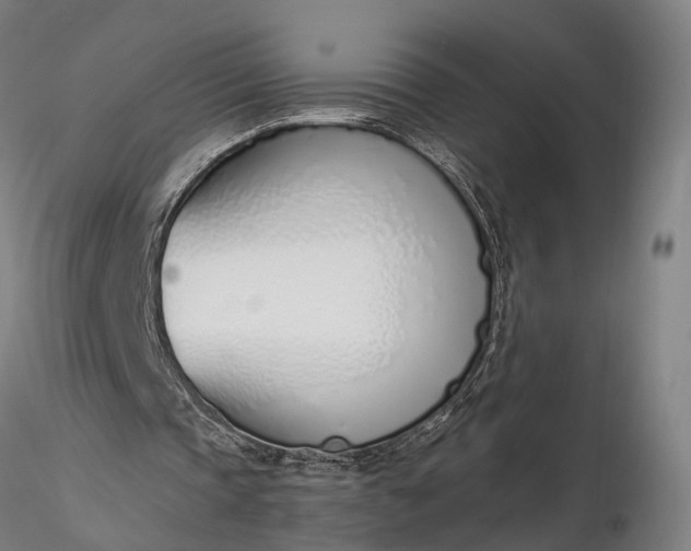 X0000116110337200912071327