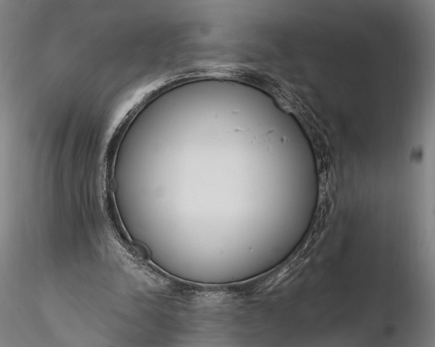 X0000116110342200912071327