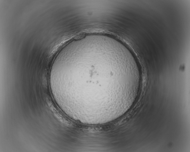 X0000116110345200912071327