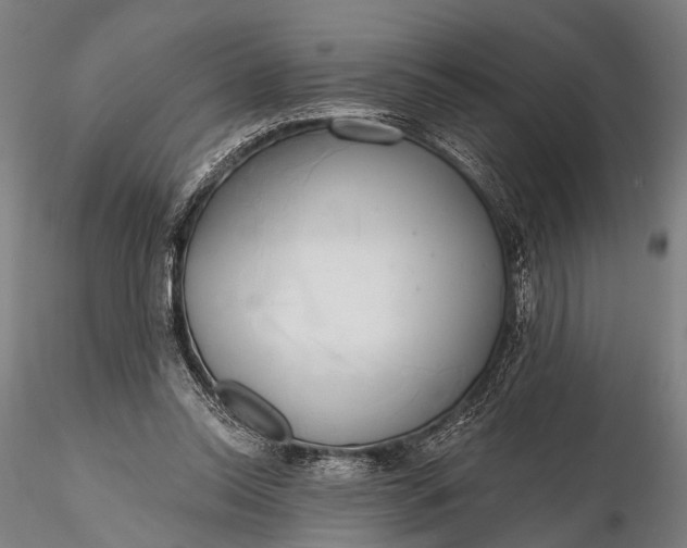 X0000116110350200912071328