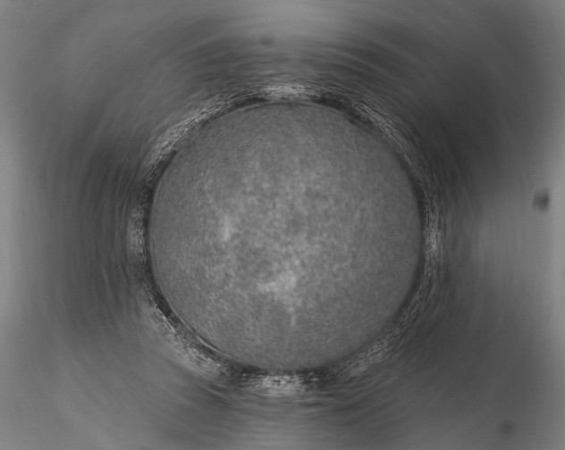 X0000116110353200912071328