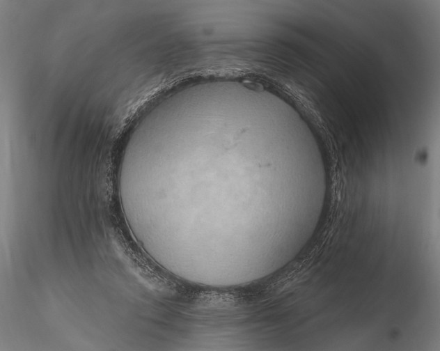 X0000116110354200912071328