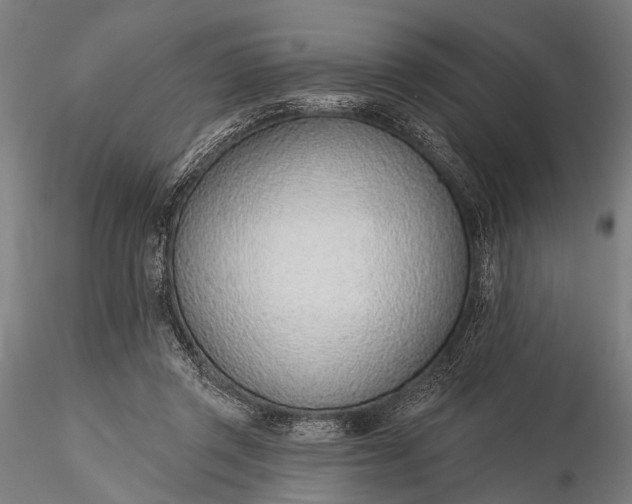 X0000116110357200912071328