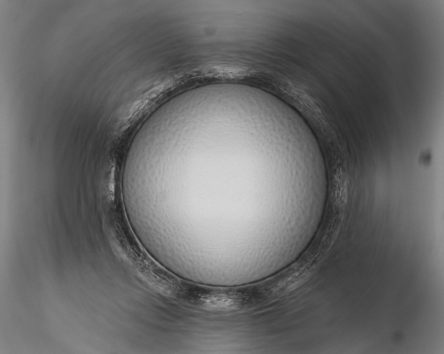 X0000116110358200912071328