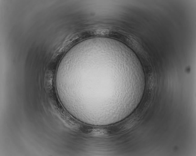 X0000116110363200912071328