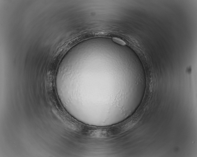 X0000116110366200912071328