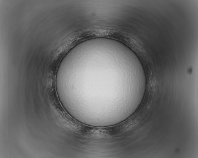 X0000116110367200912071328