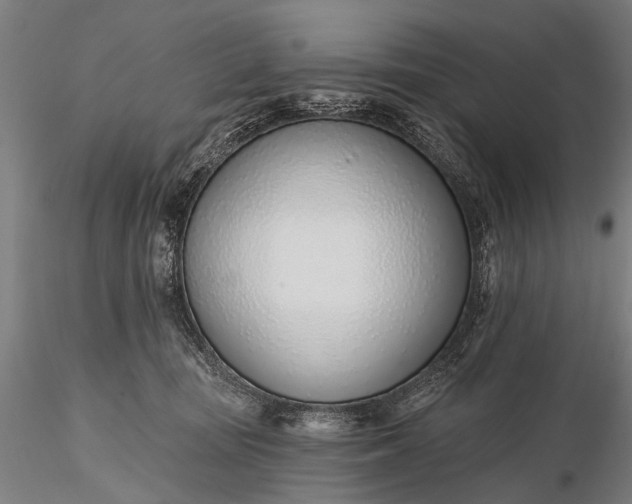 X0000116110371200912071328