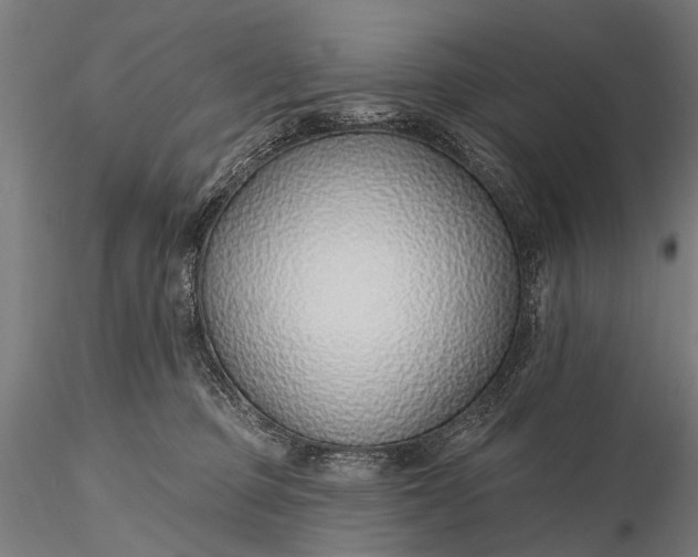 X0000116110373200912071328