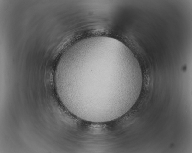 X0000116110375200912071328