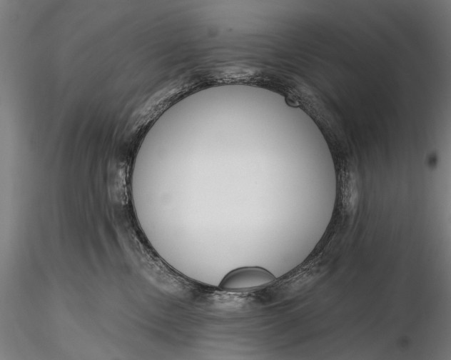 X0000116110378200912071328