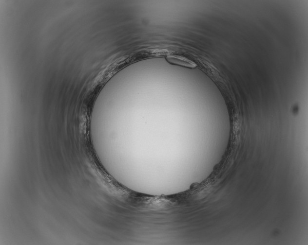 X0000116110379200912071328