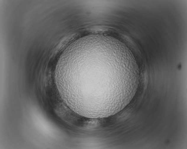 X0000116110381200912071328