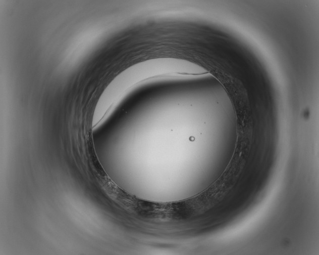 X0000116110382200912071328