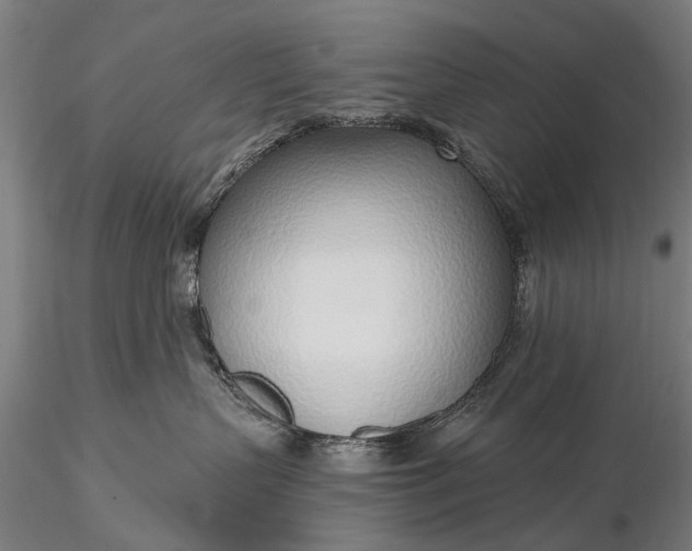 X0000116110383200912071328