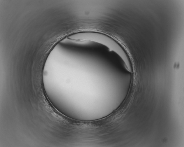 X0000116110385200912071327