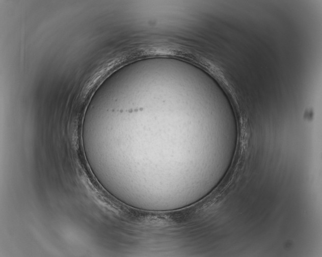 X0000116110386200912071327