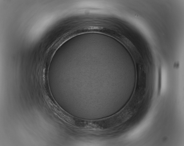 X0000116110387200912071327