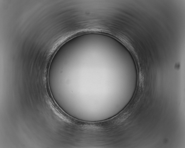 X0000116110389200912071327