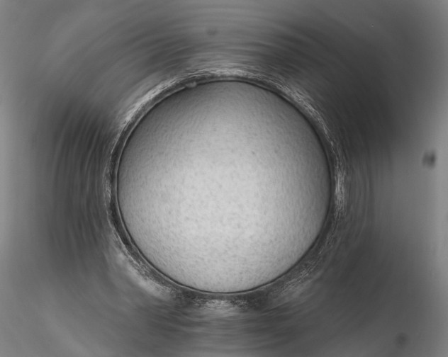 X0000116110390200912071327