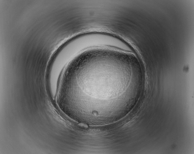 X0000116110391200912071327