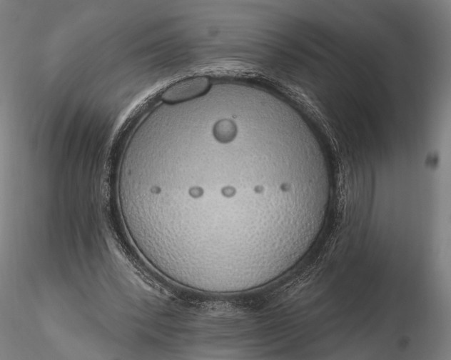 X0000116110392200912071327