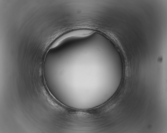 X0000116110393200912071327