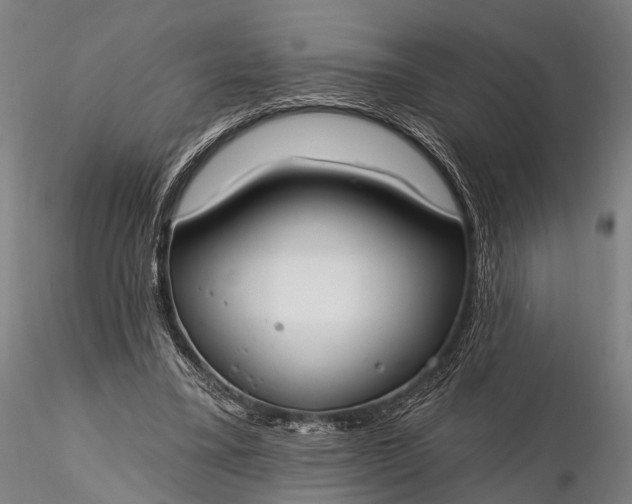 X0000116110395200912071327