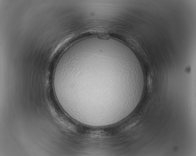 X0000116110396200912071327