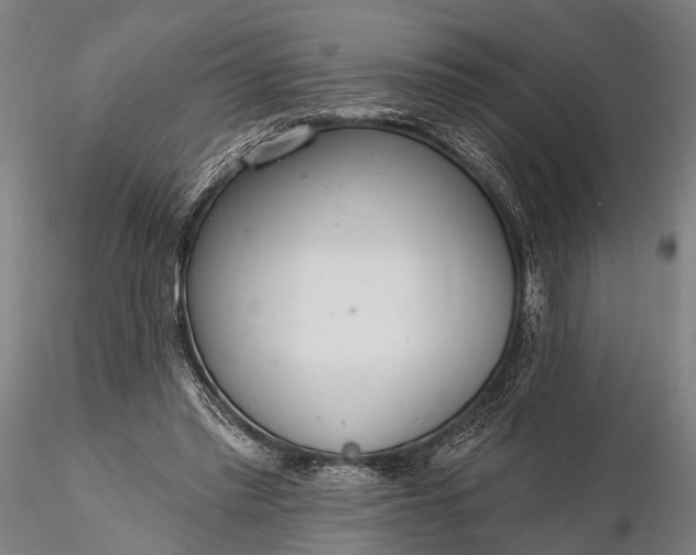 X0000116110397200912071327