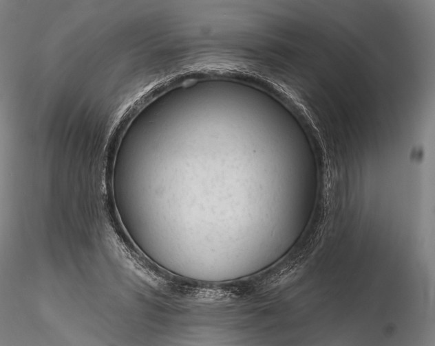 X0000116110399200912071327