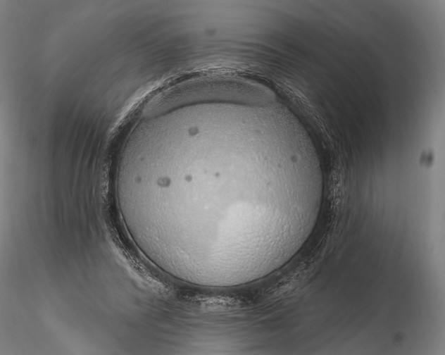 X0000116110400200912071327