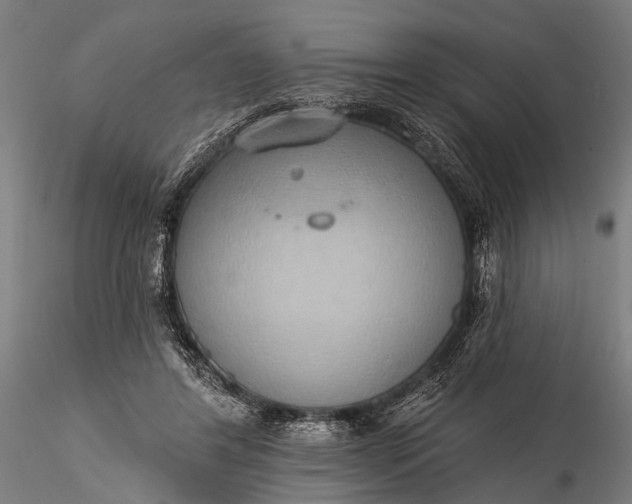 X0000116110404200912071327