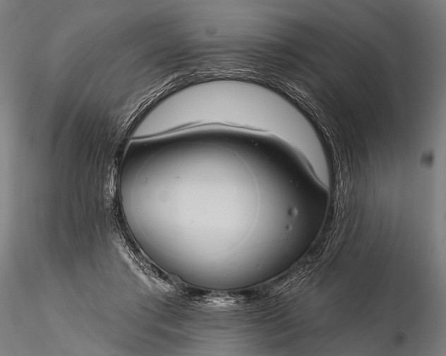 X0000116110405200912071327