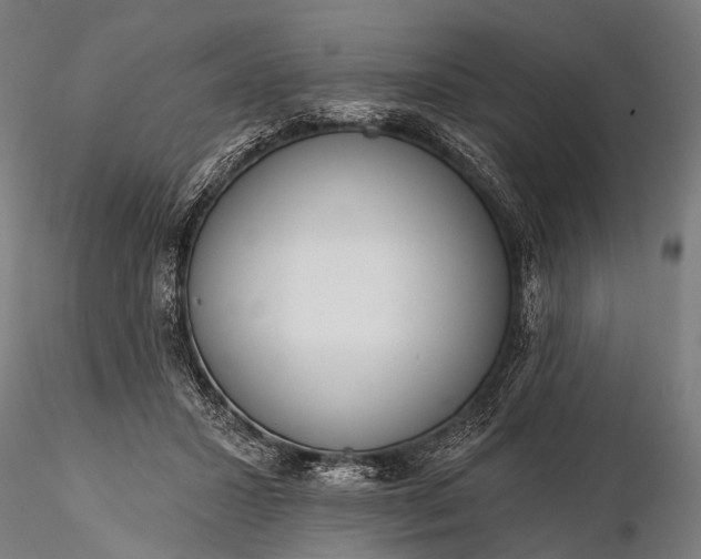 X0000116110407200912071327